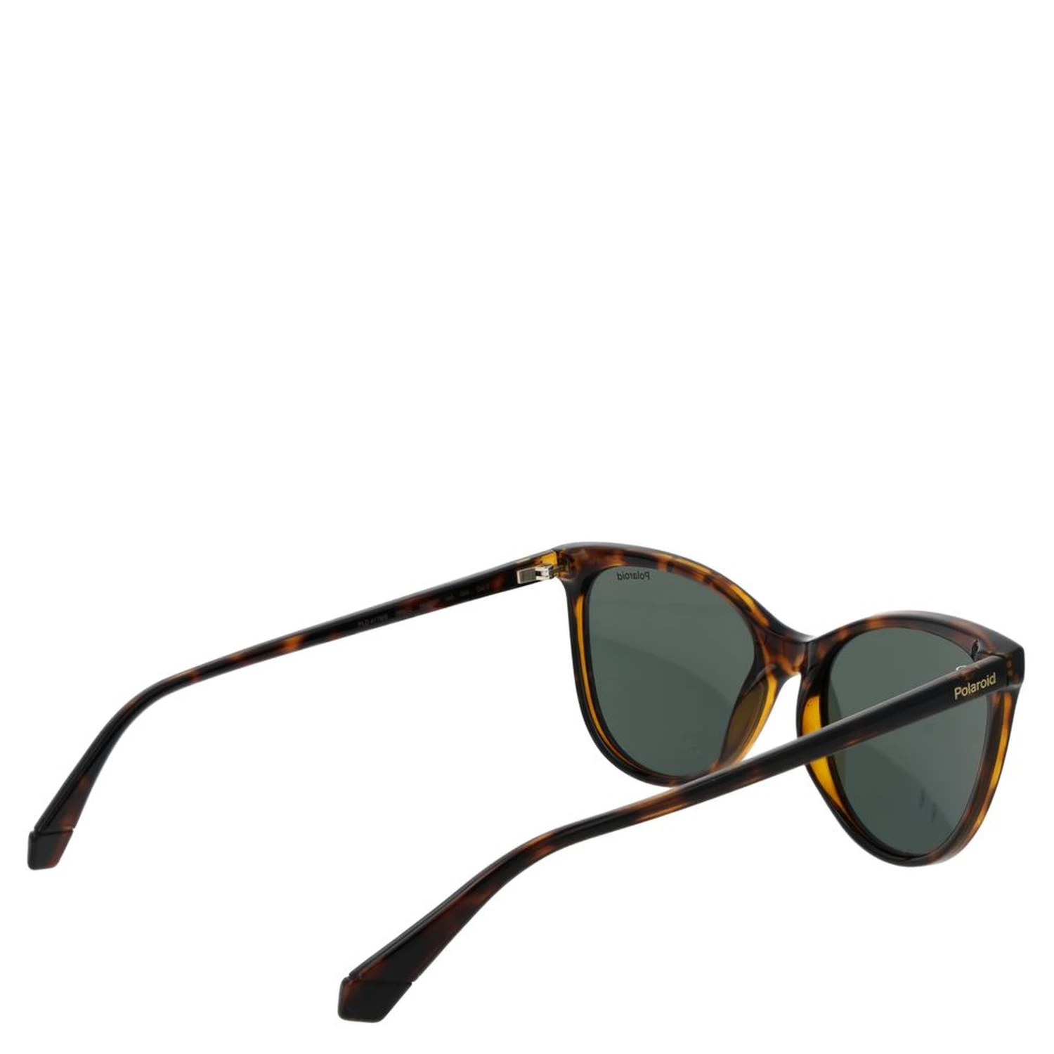 Brown Plastic Sunglasses