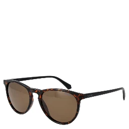 Brown Plastic Sunglasses