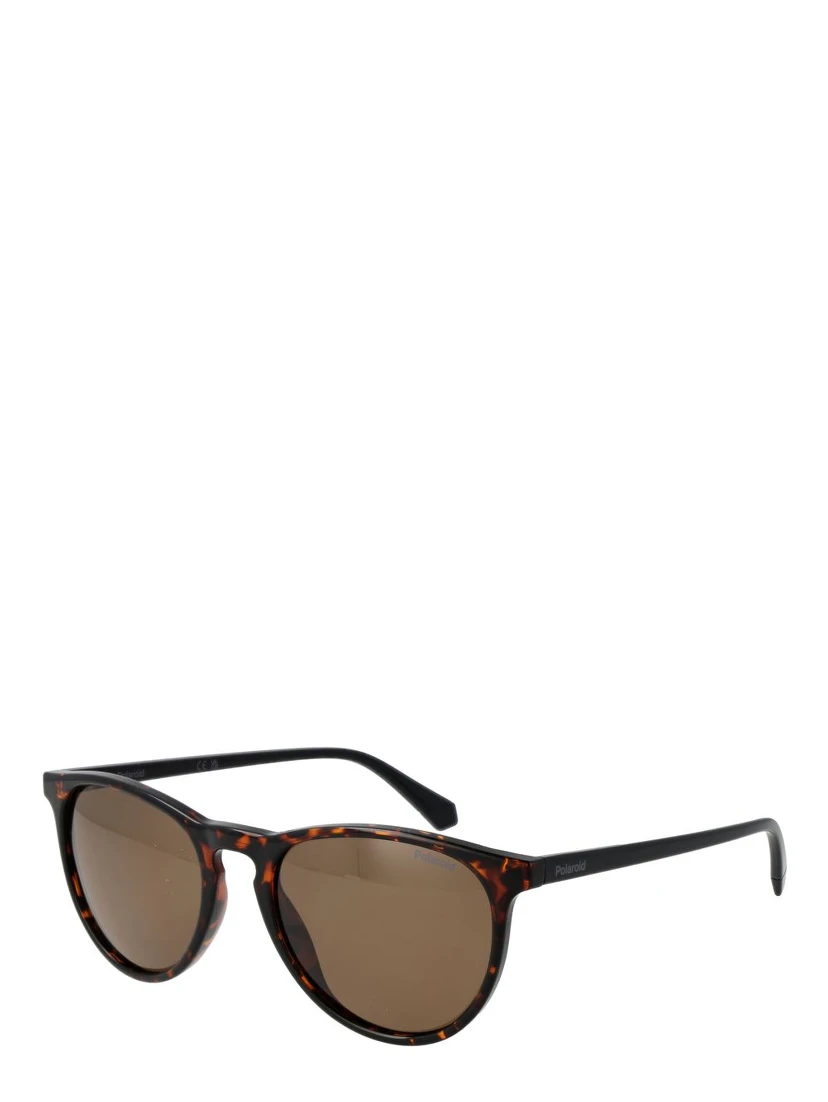 Brown Plastic Sunglasses