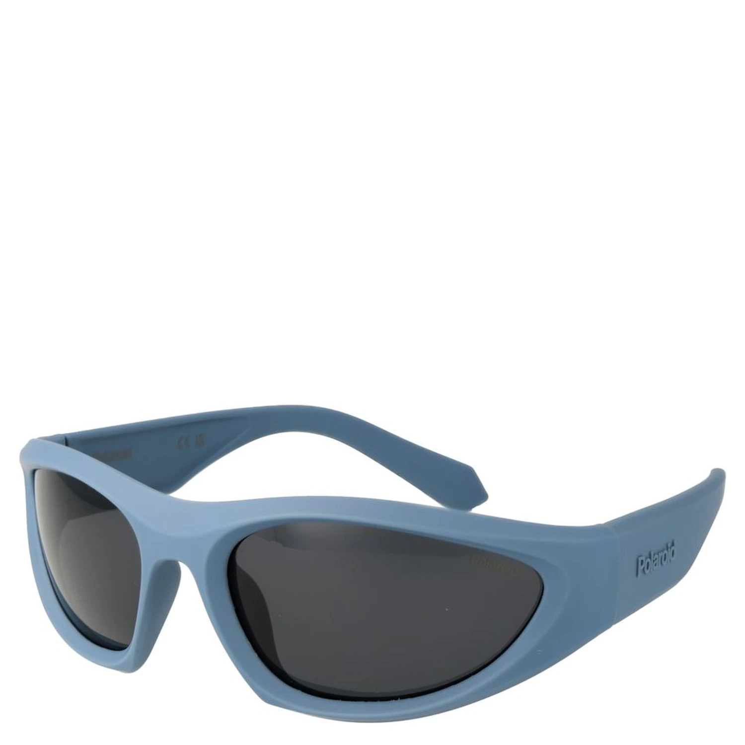 Blue Plastic Sunglasses