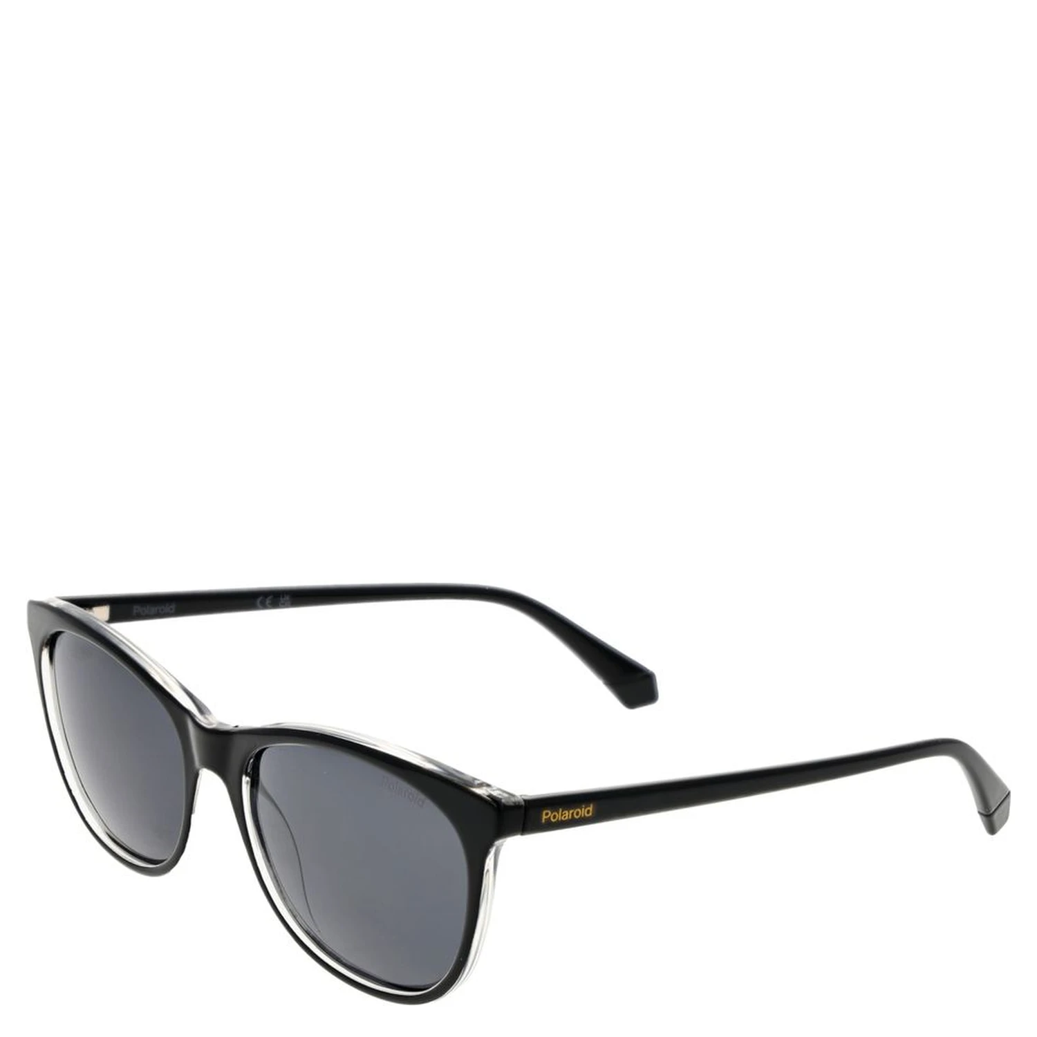 Black Plastic Sunglasses
