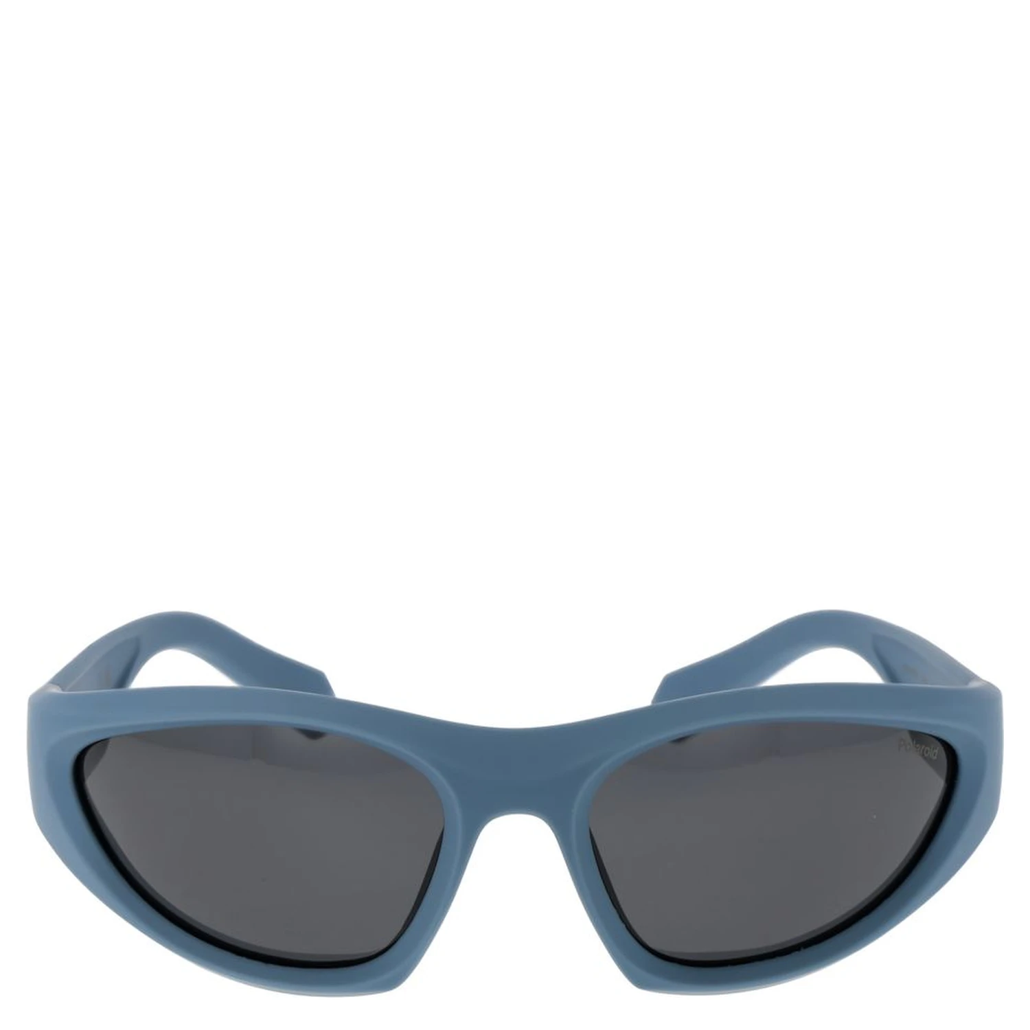 Blue Plastic Sunglasses