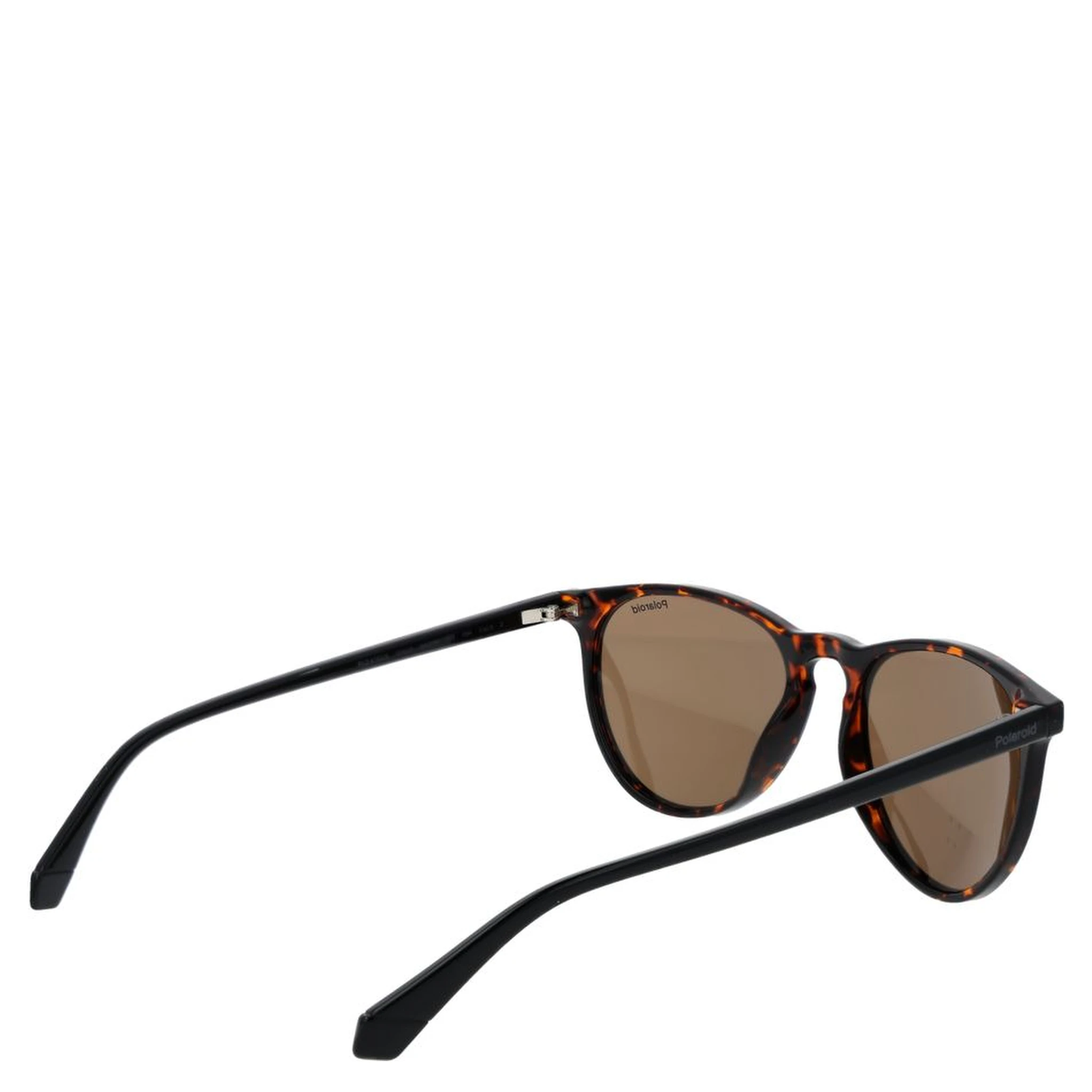 Brown Plastic Sunglasses