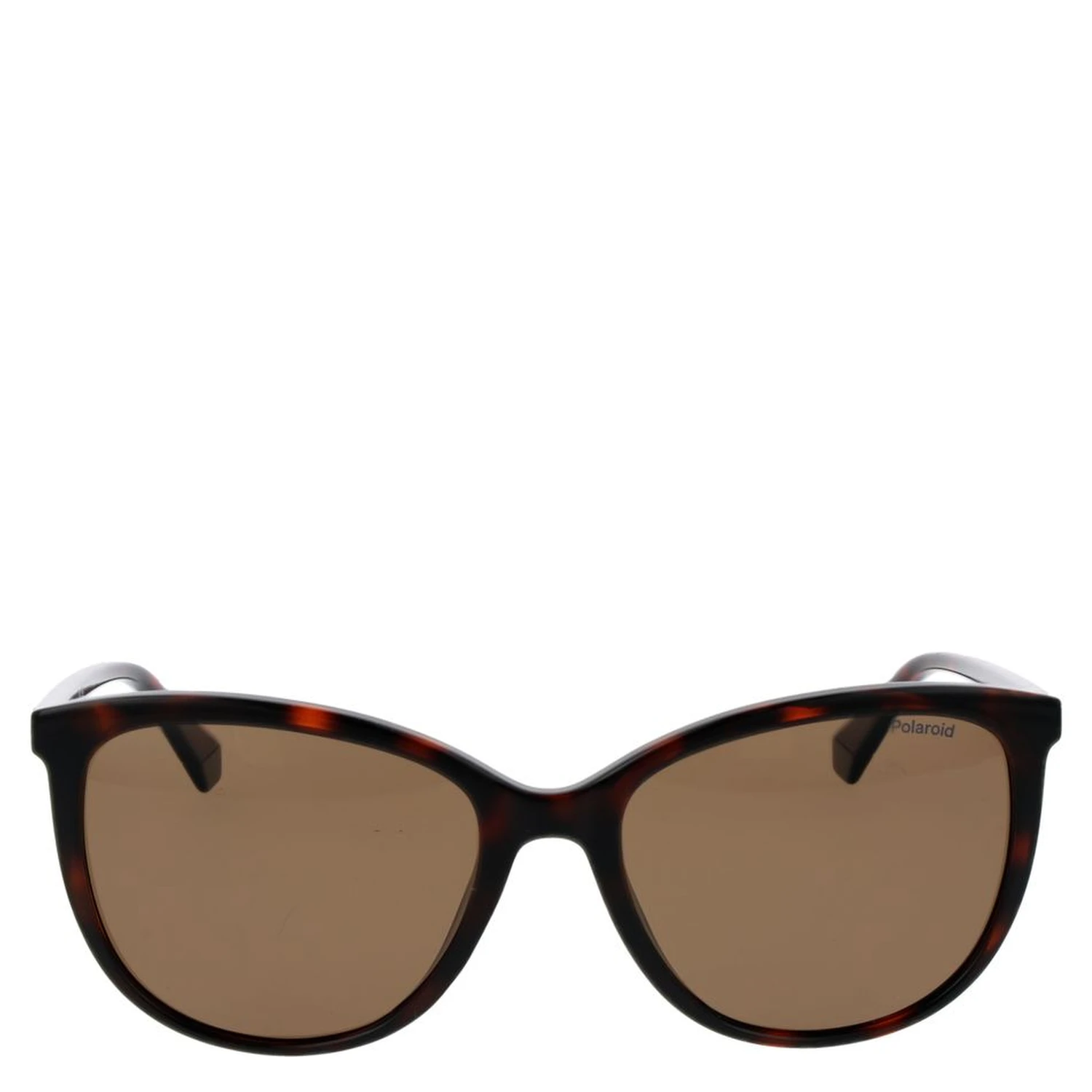 Brown Plastic Sunglasses