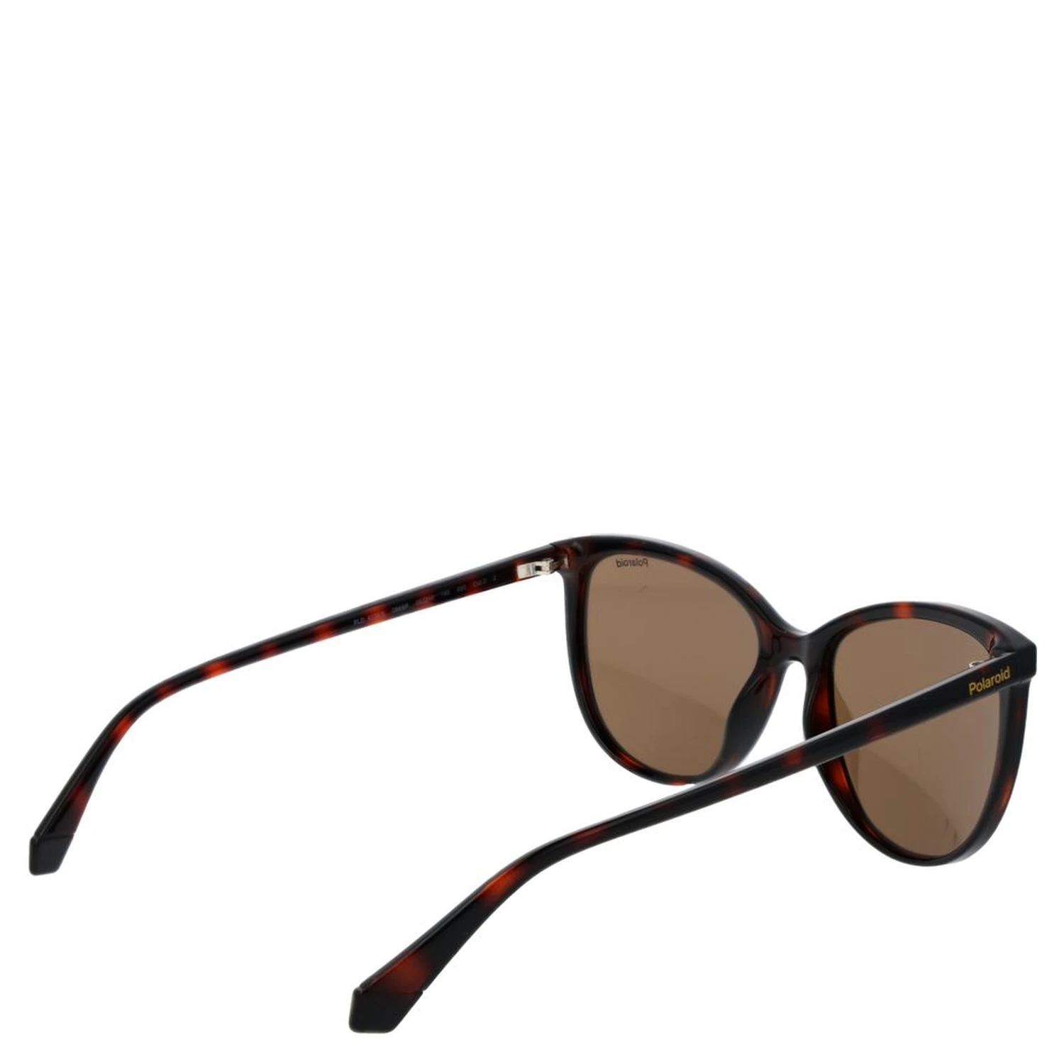 Brown Plastic Sunglasses