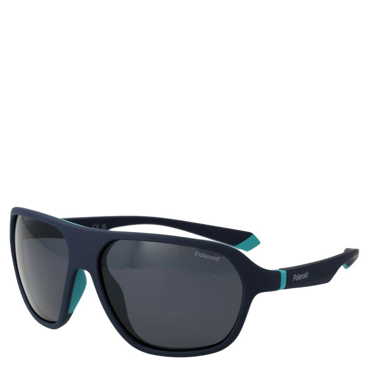 Blue Plastic Sunglasses