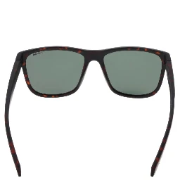 Brown Plastic Sunglasses