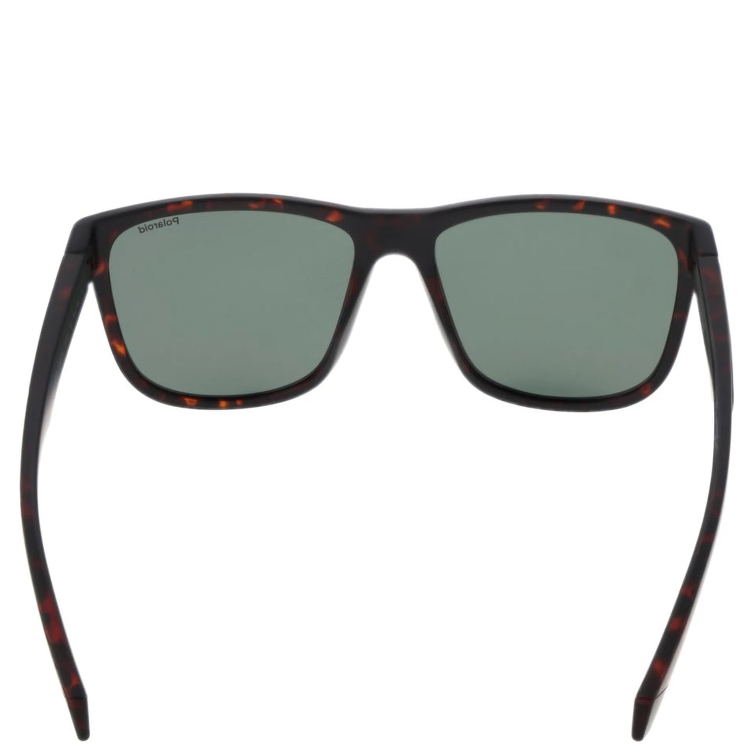 Brown Plastic Sunglasses