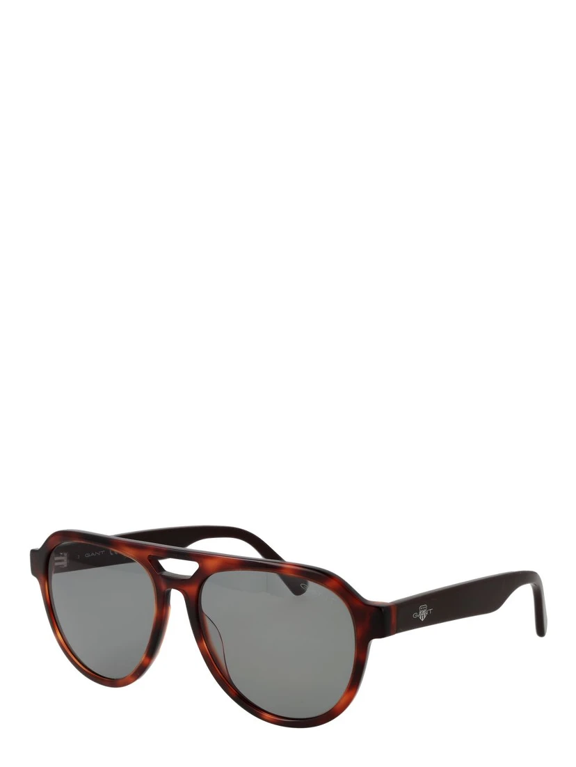 Brown Acetate Sunglasses