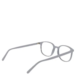 Gray Acetate Glasses (Frames)
