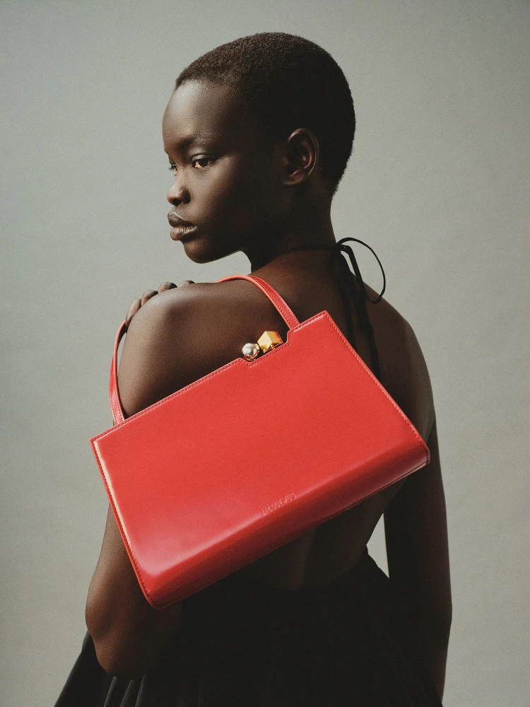 JACQUEMUS handbag alternative