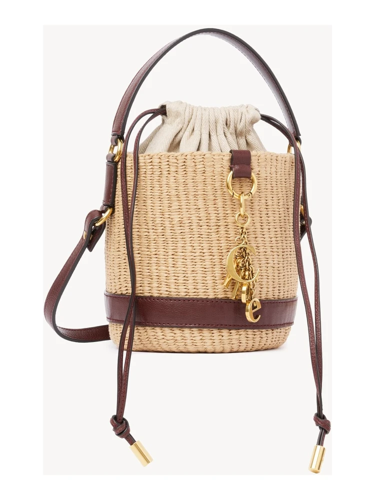 حقائب كلوي.. بيج