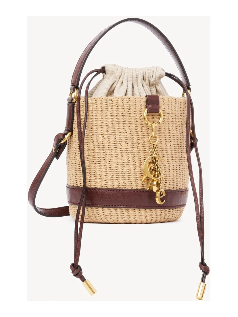 حقائب كلوي.. بيج