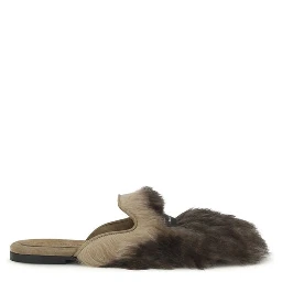 Gray Lamb Ovis Aries Aries Mules