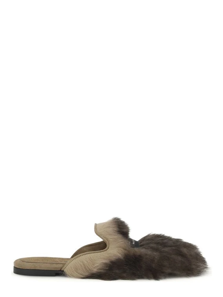 Gray Lamb Ovis Aries Aries Mules