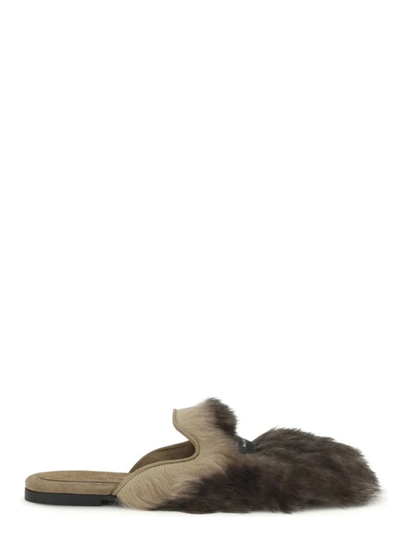 Gray Lamb Ovis Aries Aries Mules