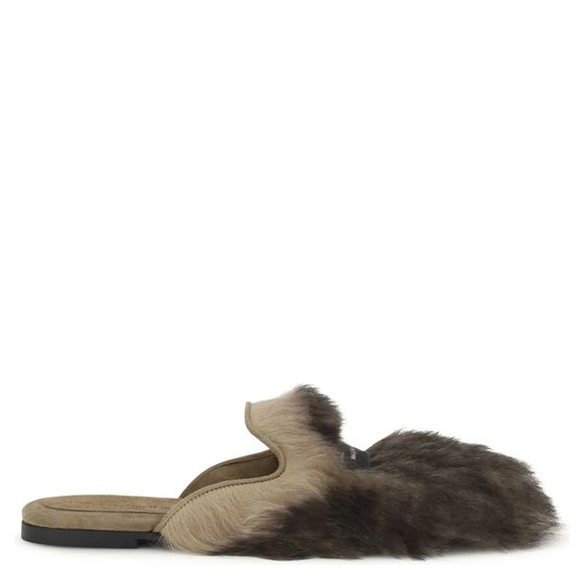 Gray Lamb Ovis Aries Aries Mules