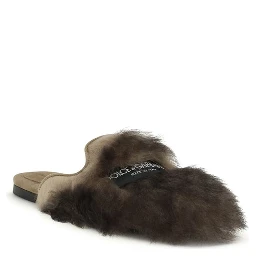 Gray Lamb Ovis Aries Aries Mules