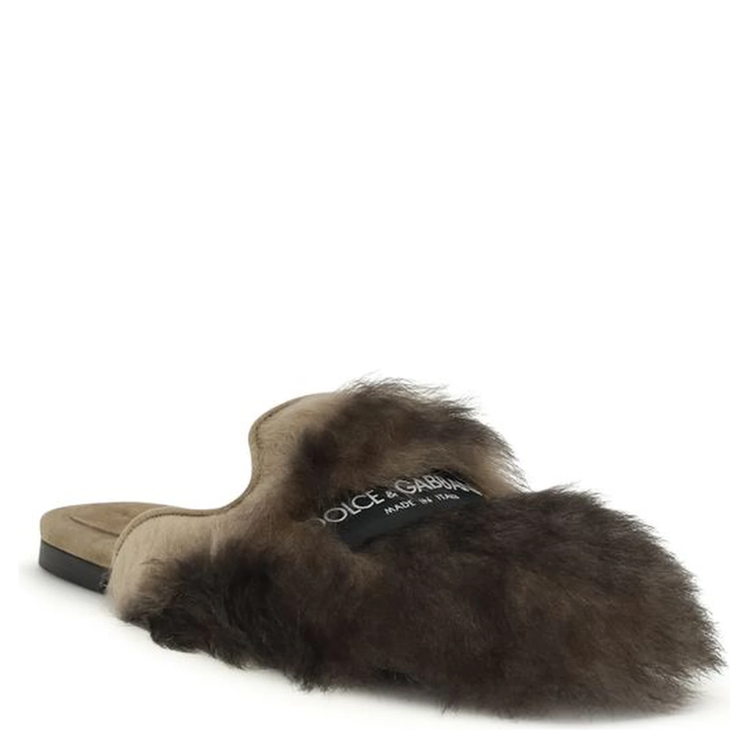 Gray Lamb Ovis Aries Aries Mules