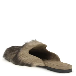 Gray Lamb Ovis Aries Aries Mules
