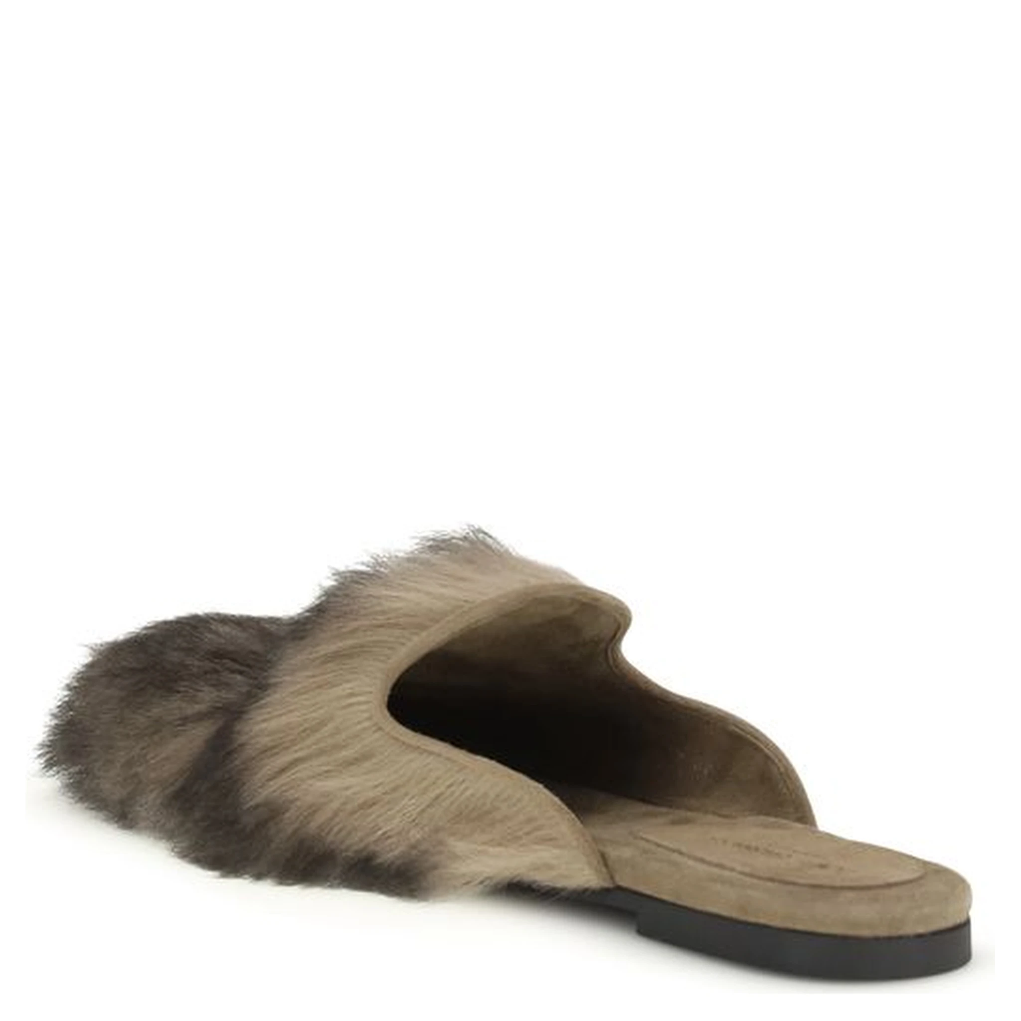 Gray Lamb Ovis Aries Aries Mules
