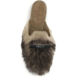 Gray Lamb Ovis Aries Aries Mules
