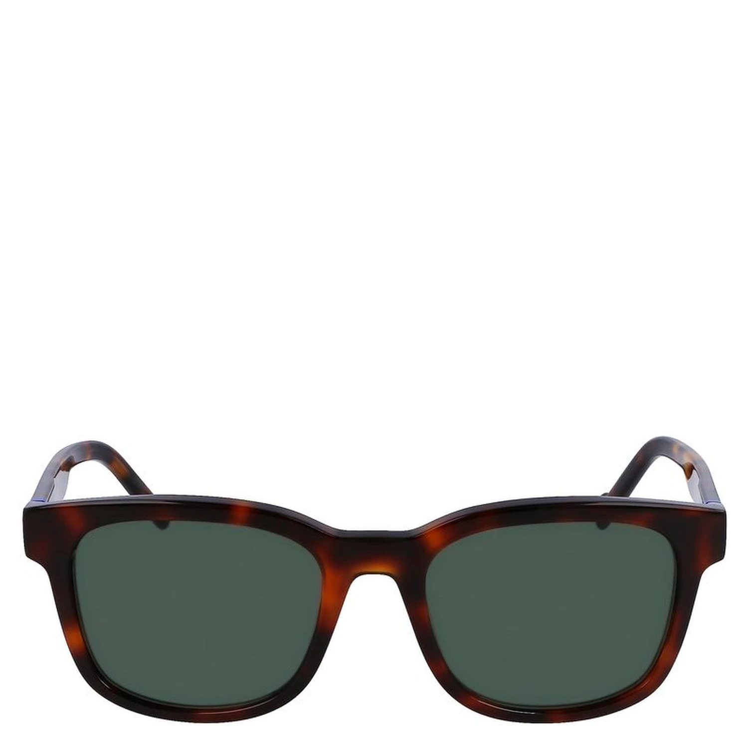 Brown Acetate Sunglasses