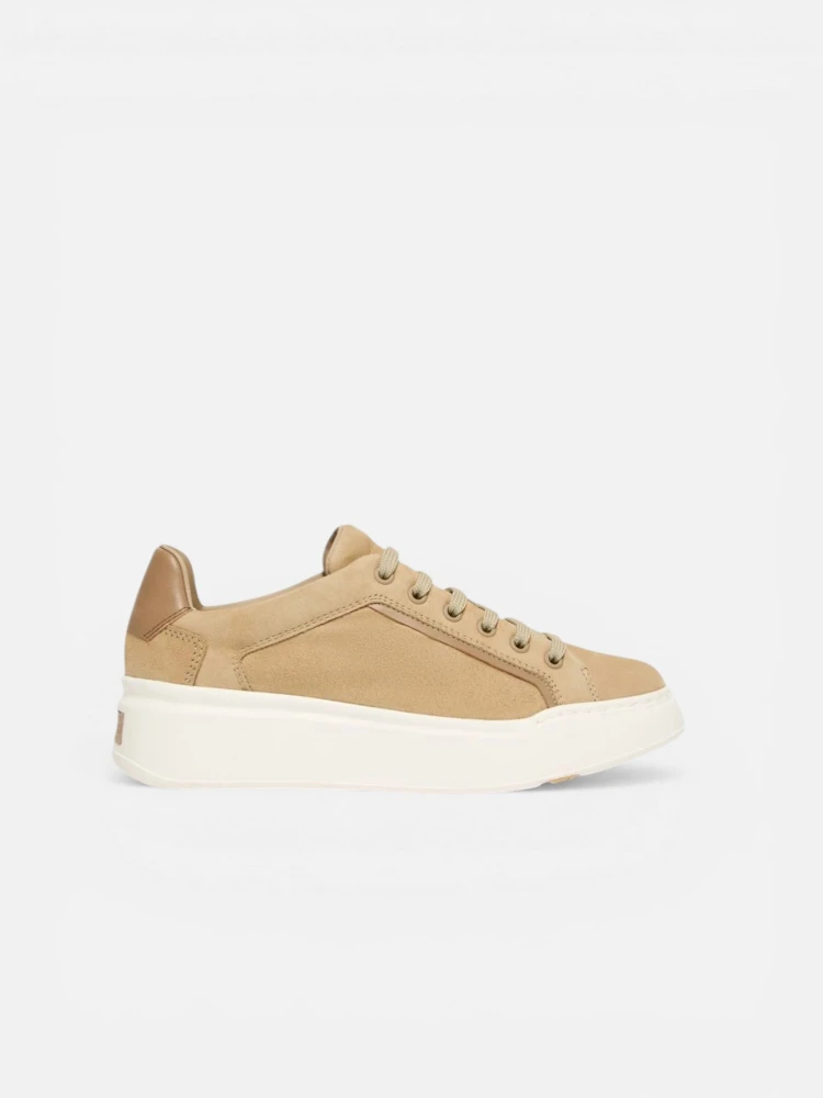 MAX MARA MXASUPERSUEDE sneakers