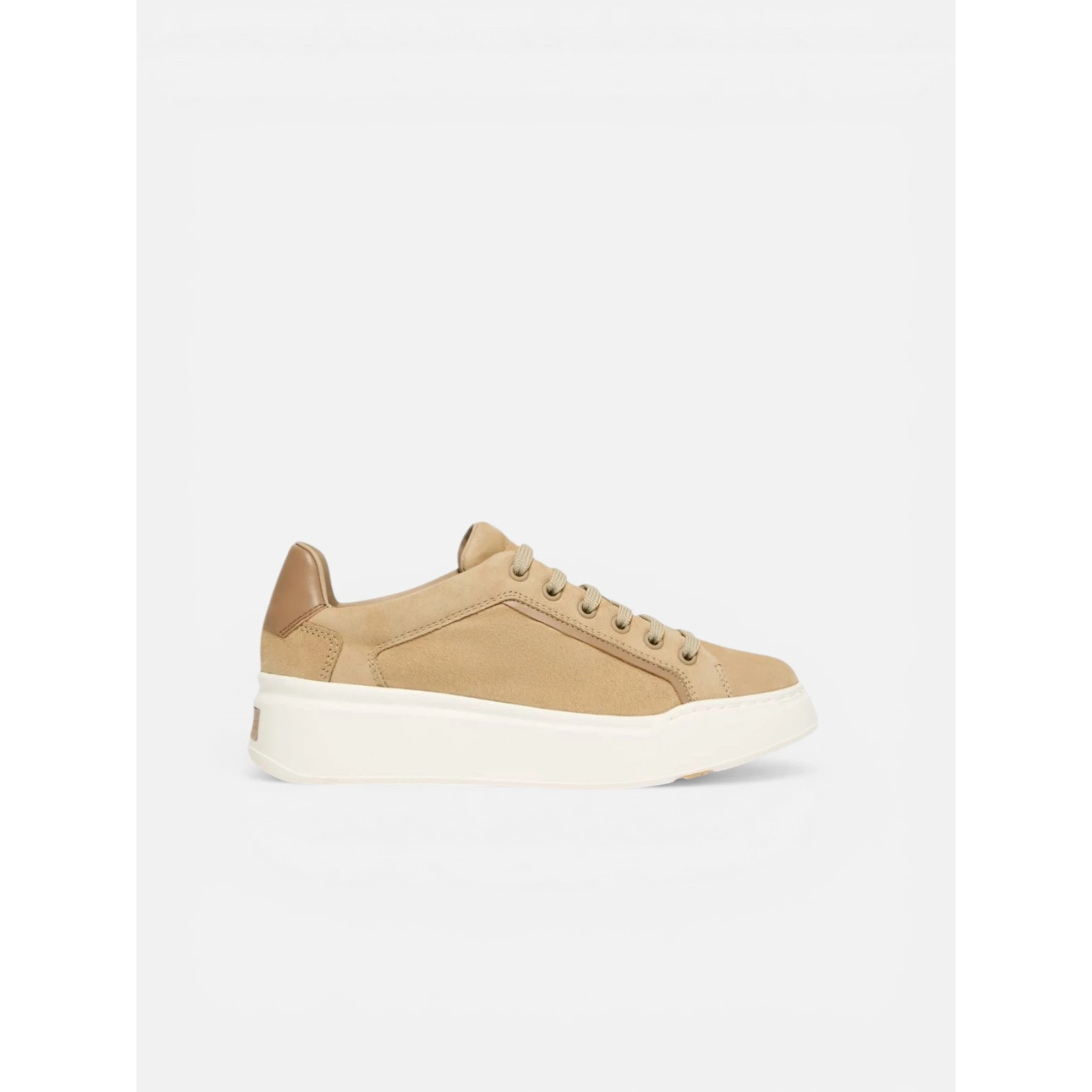 MAX MARA MXASUPERSUEDE sneakers