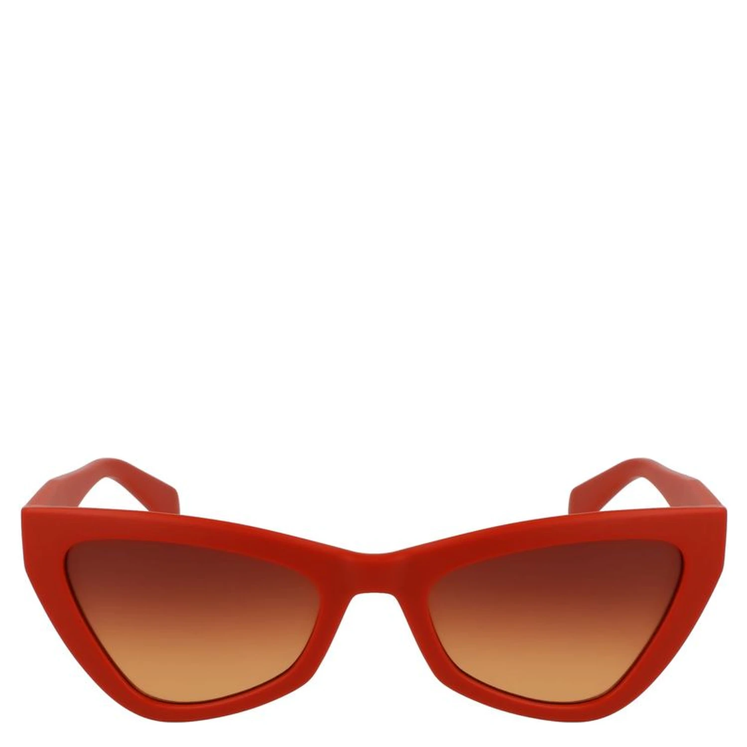 Brown Injected Sunglasses