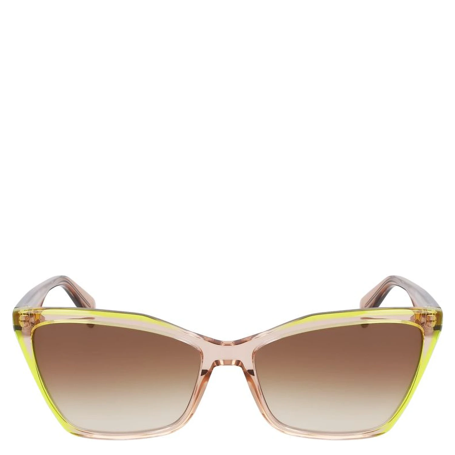 Brown Acetate Sunglasses