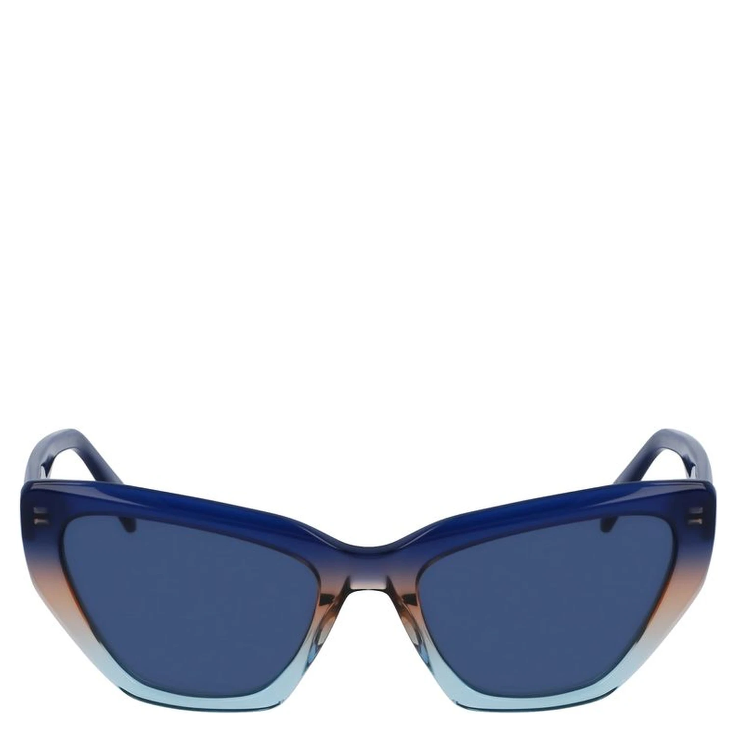 Blue Acetate Sunglasses