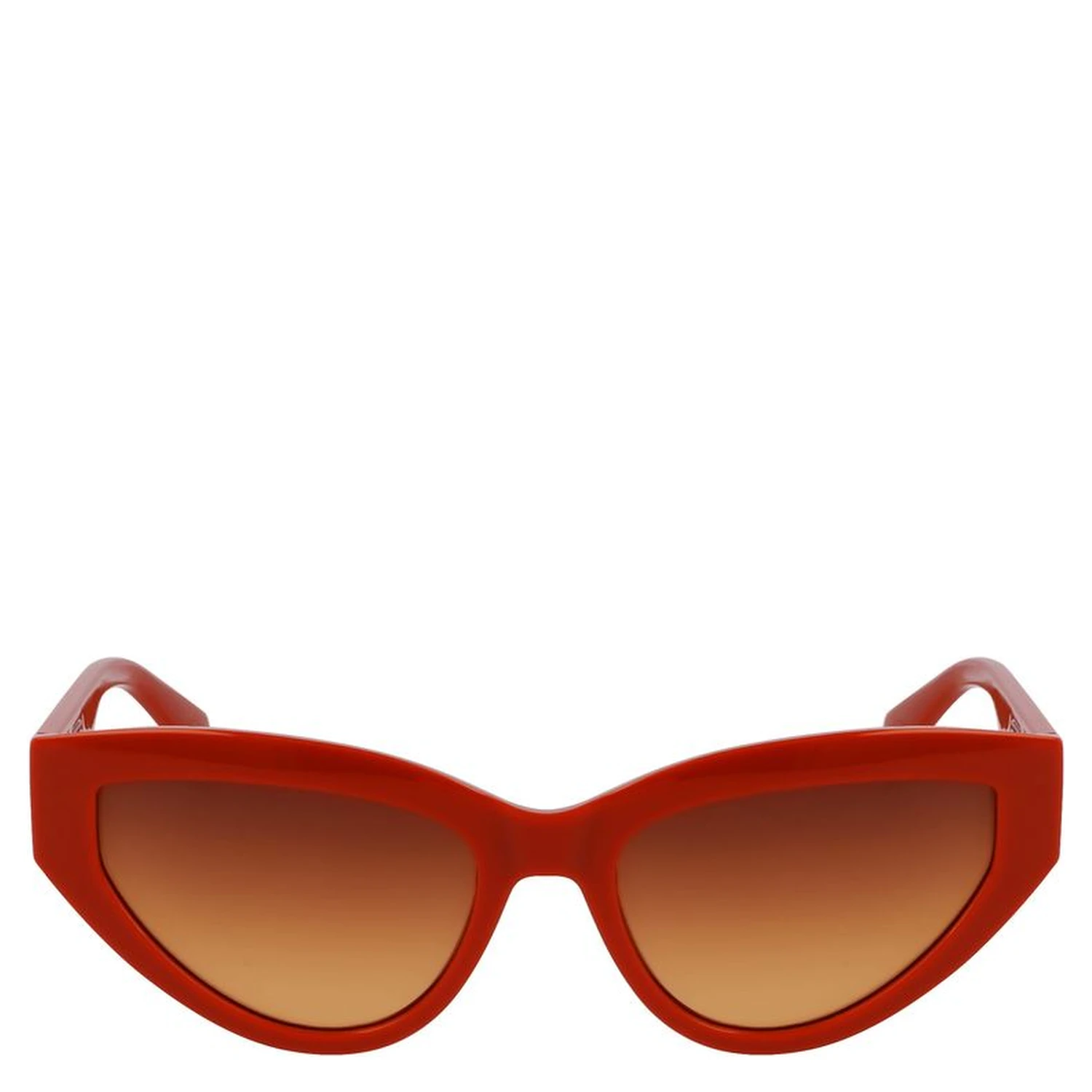 Brown Injected Sunglasses