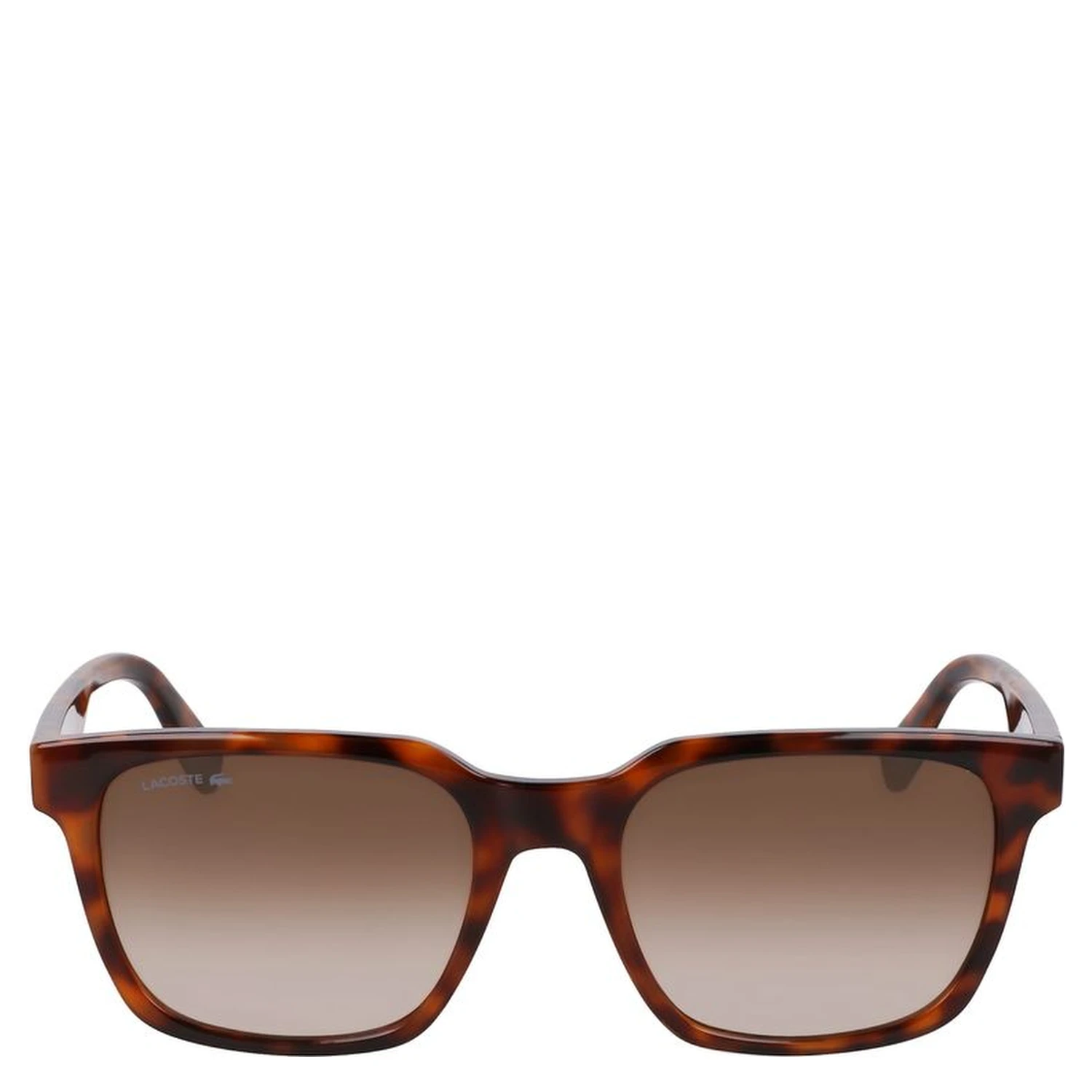 Brown Injected Sunglasses