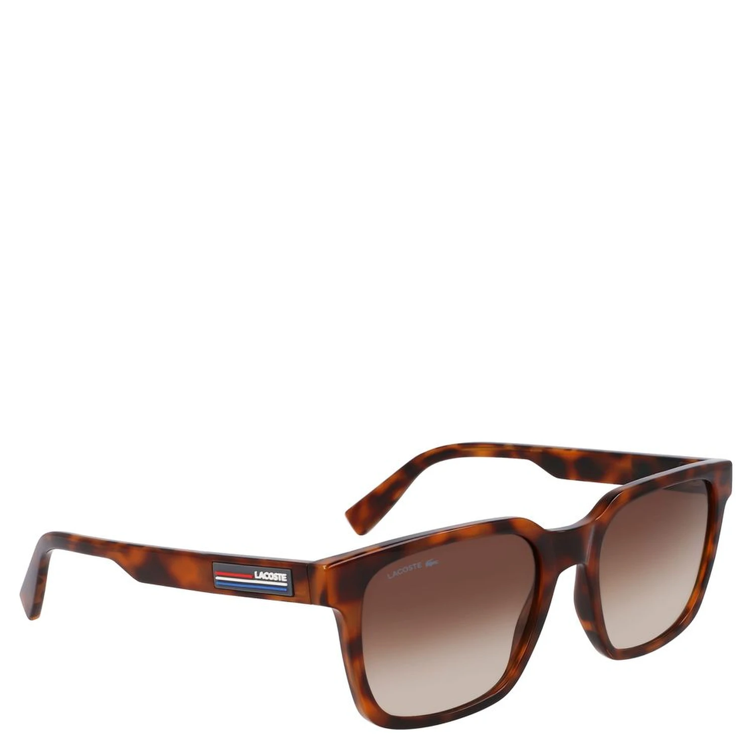Brown Injected Sunglasses