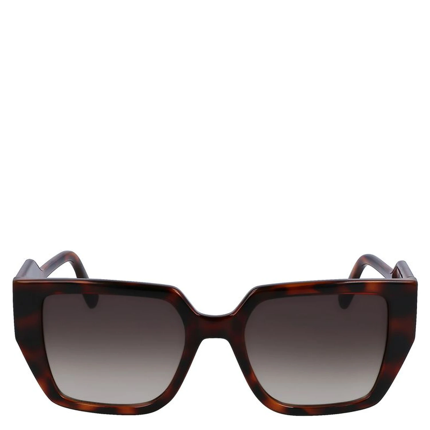 Brown Injected Sunglasses