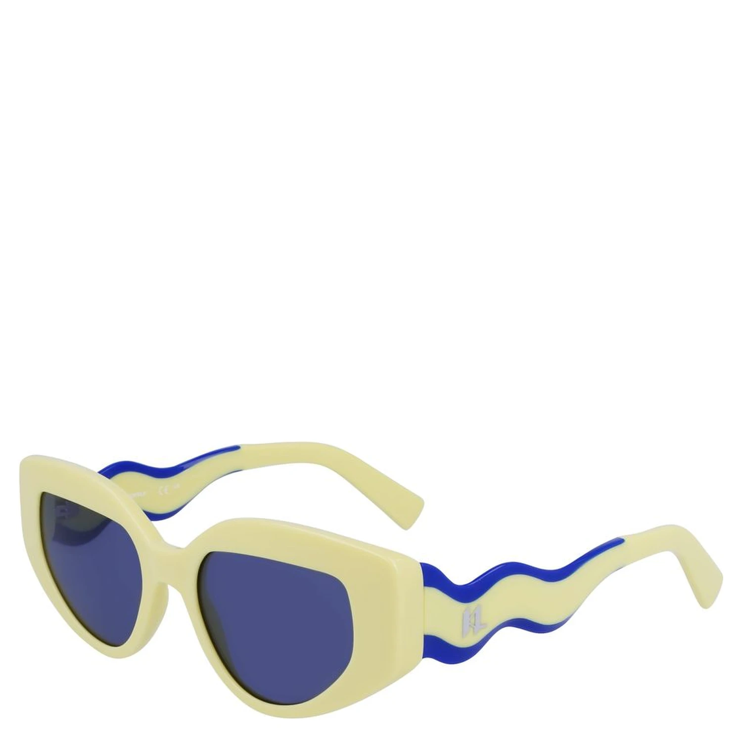 Bicolor Injected Sunglasses