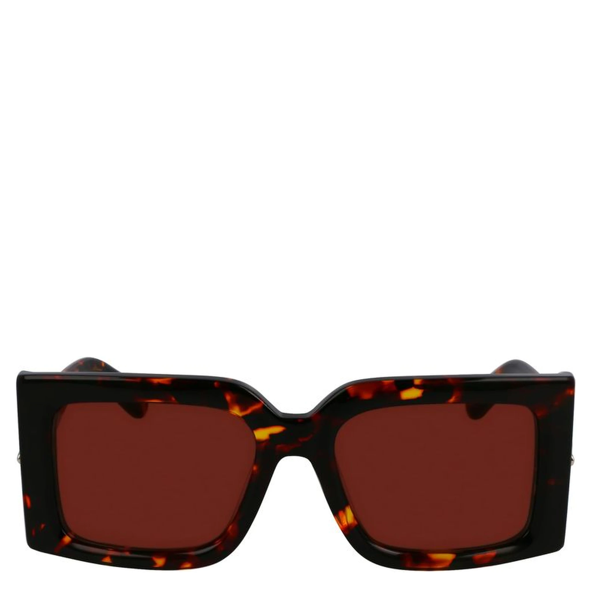 Brown Acetate Sunglasses