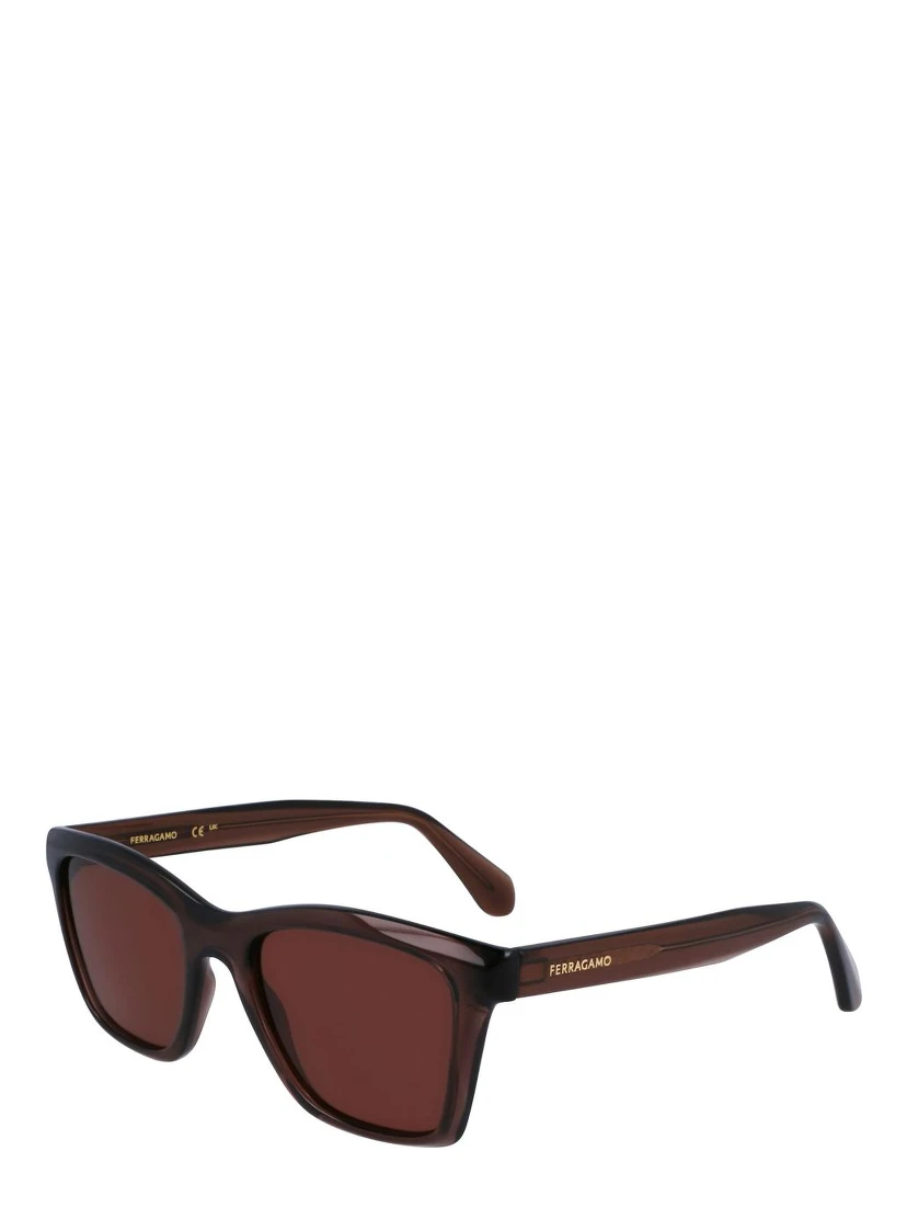 Brown Injected Sunglasses