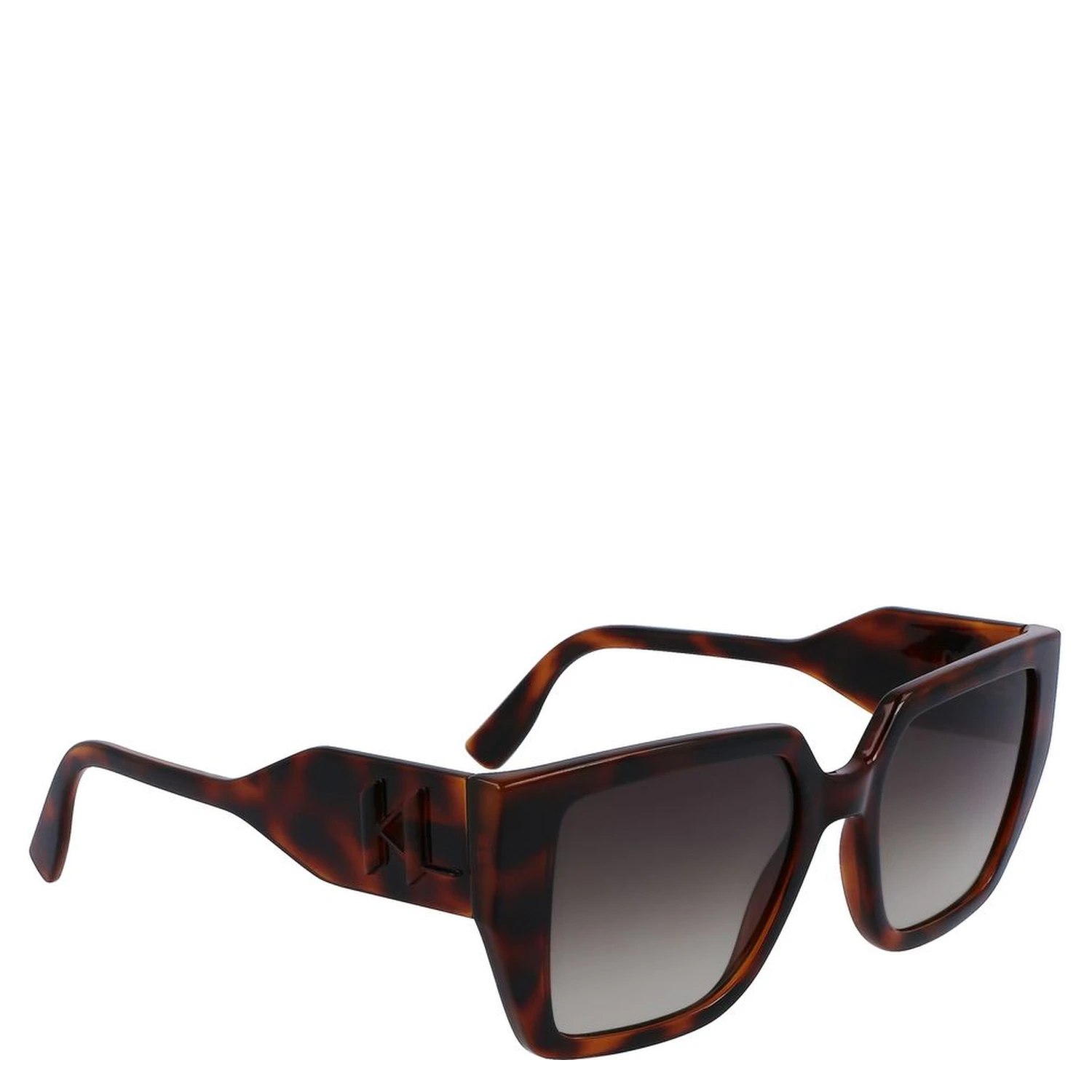 Brown Injected Sunglasses