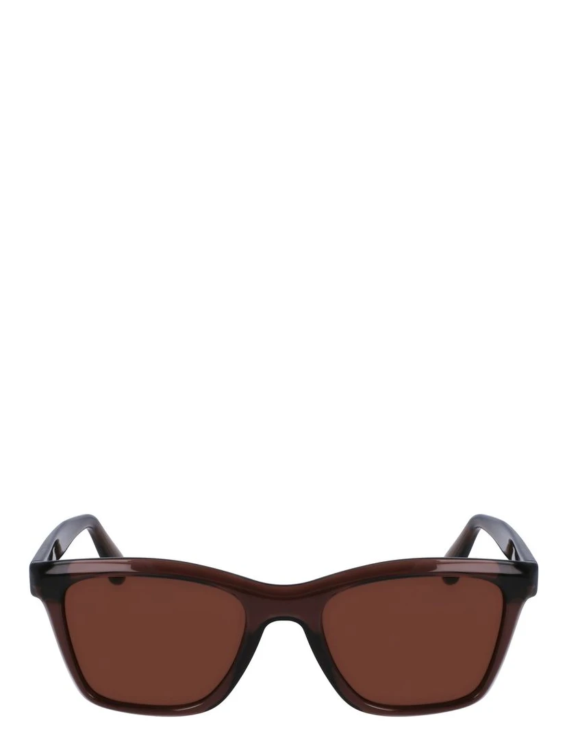 Brown Injected Sunglasses