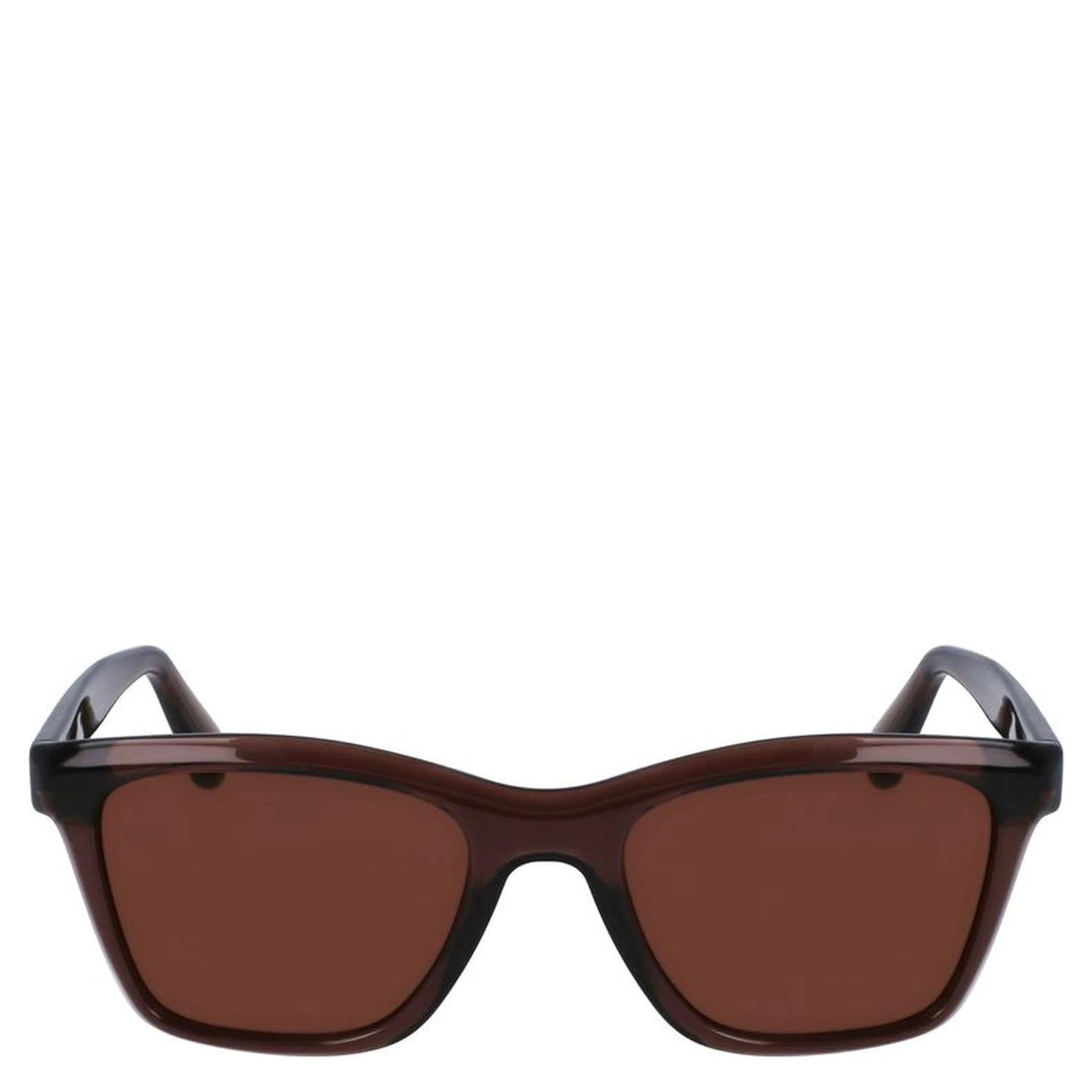 Brown Injected Sunglasses