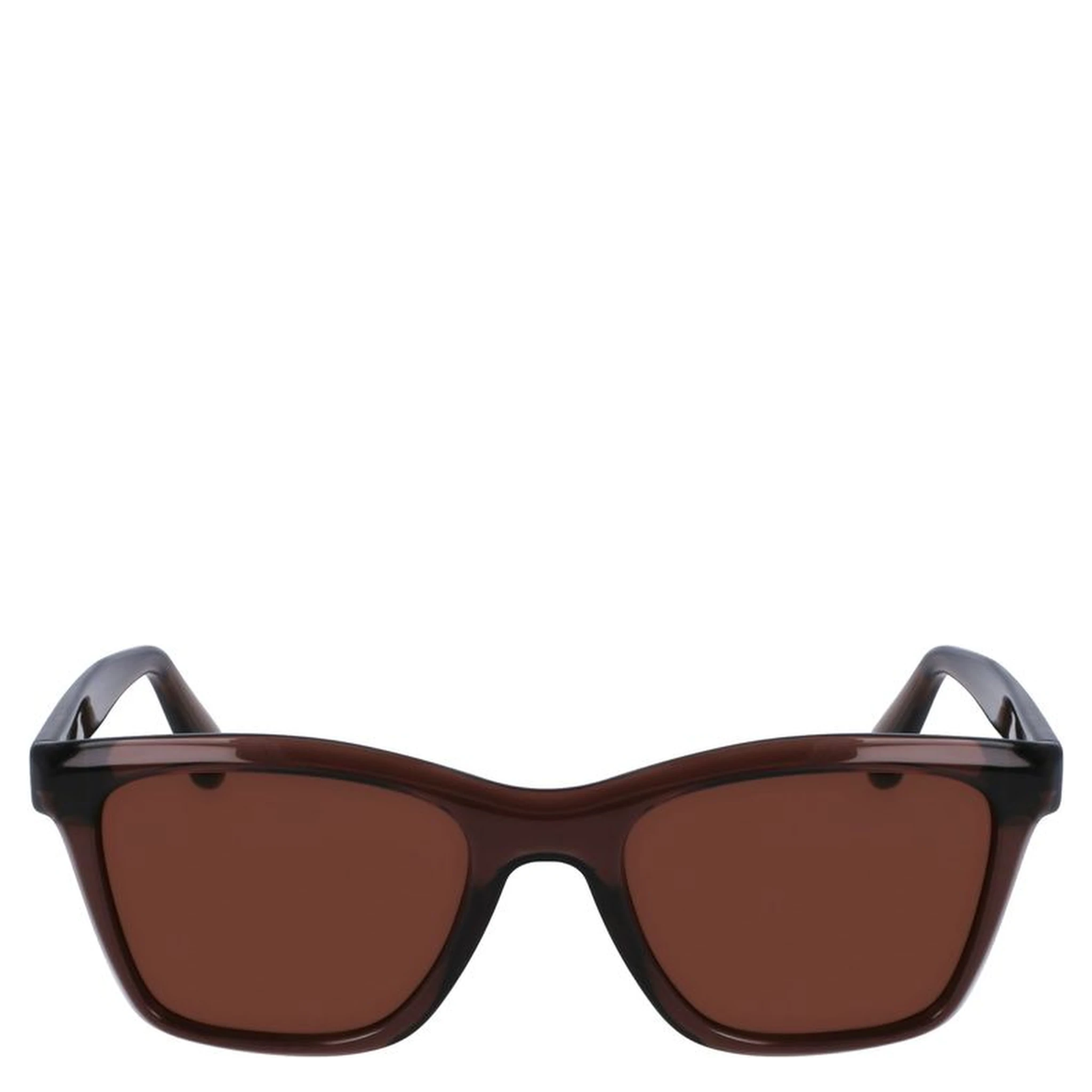 Brown Injected Sunglasses