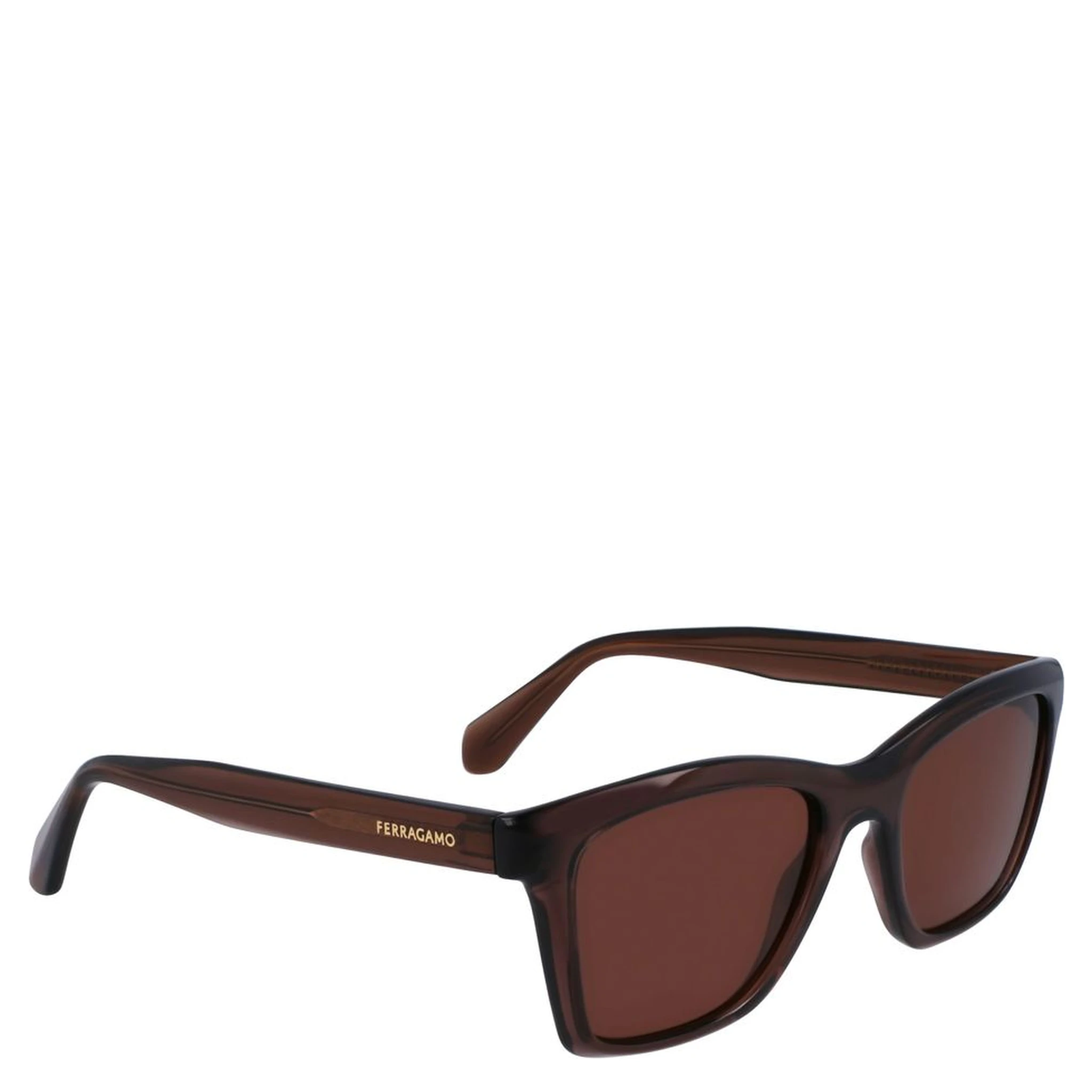 Brown Injected Sunglasses