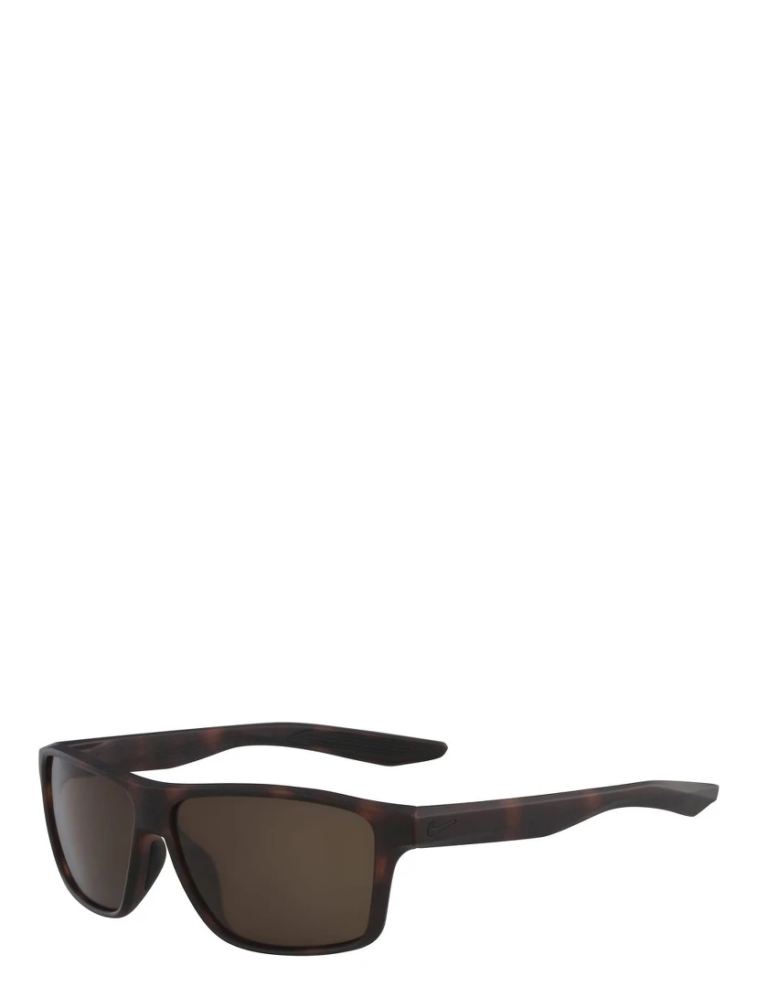 Brown Injected Sunglasses