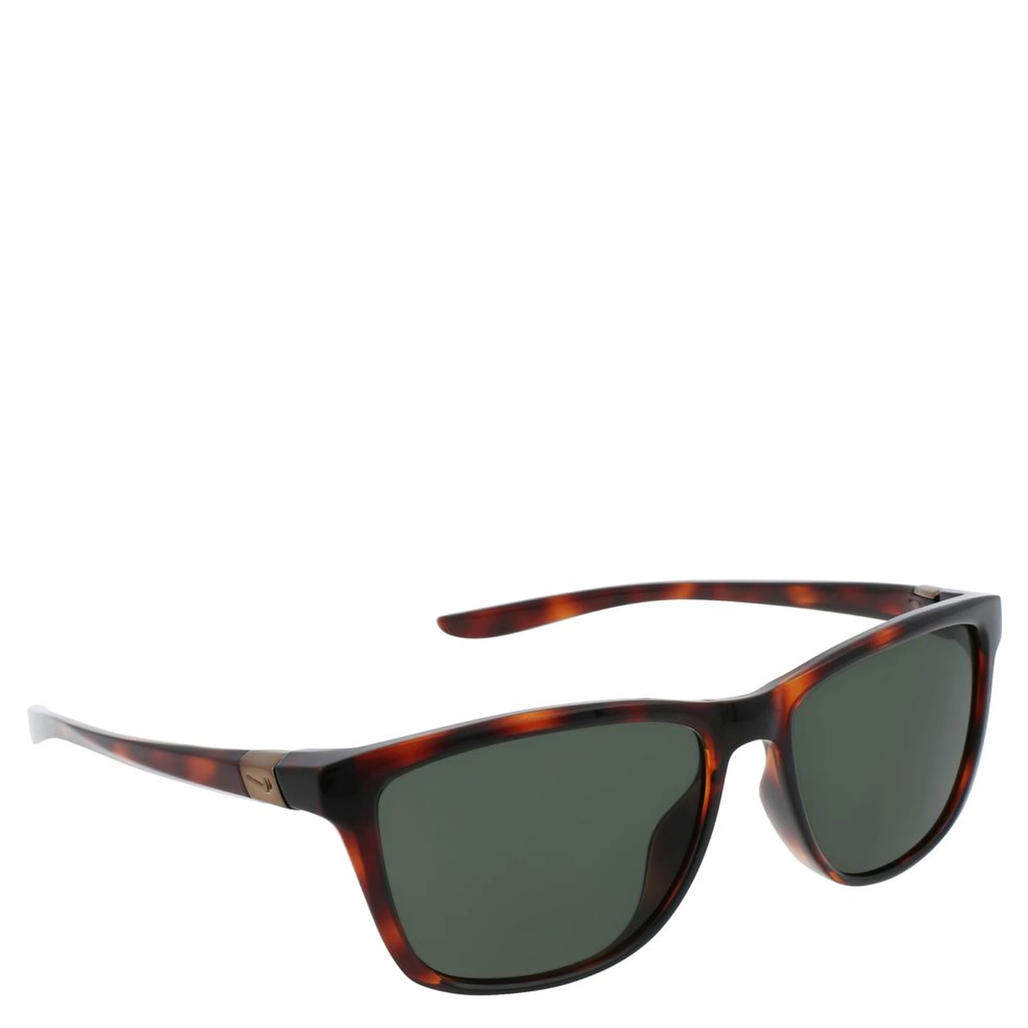 Brown Injected Sunglasses