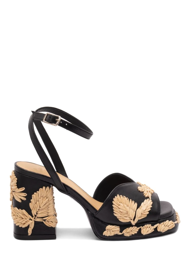 صندل كاستانير أسود