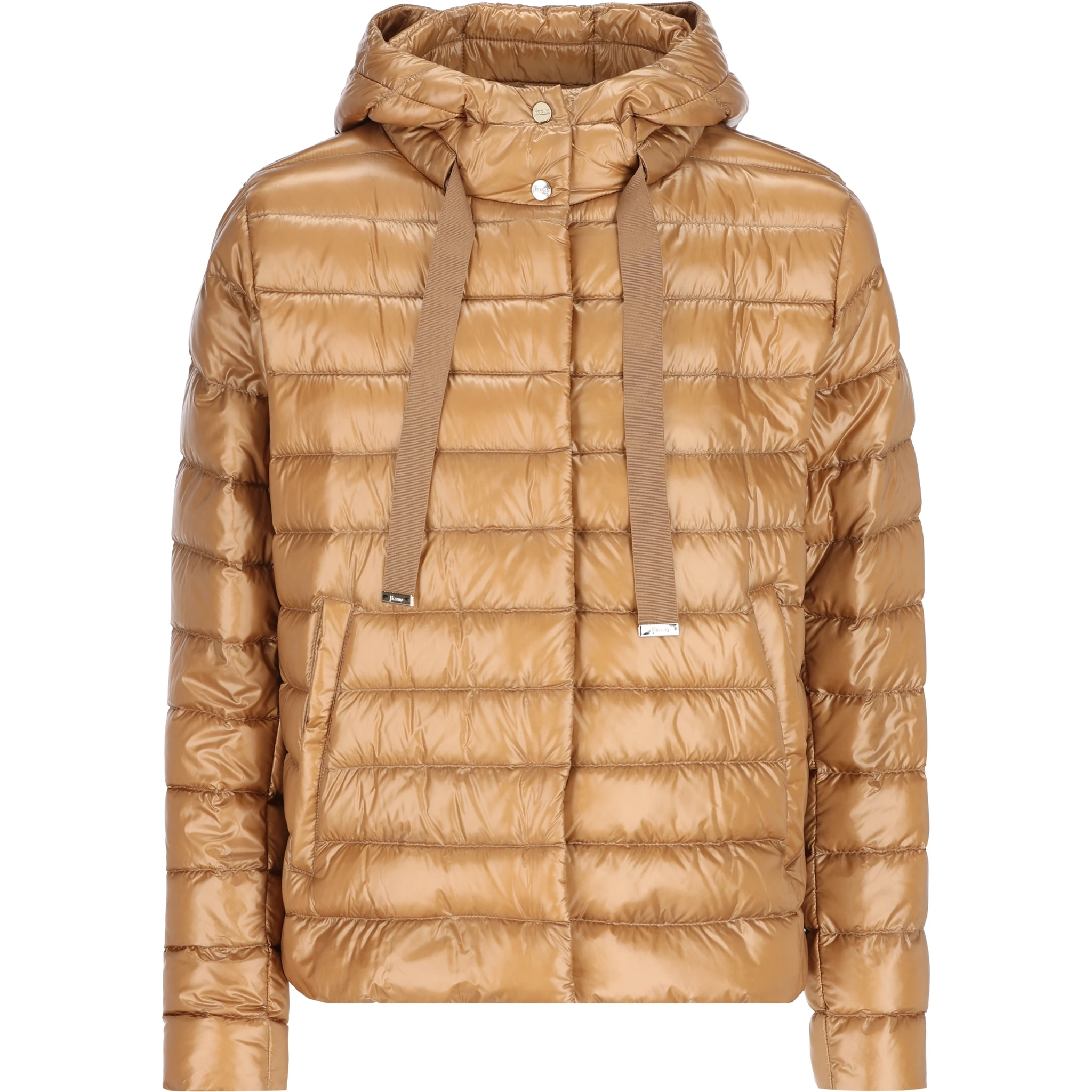 هيرنو كوتس براون