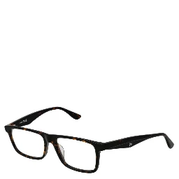 Brown Plastic Glasses (Frames)