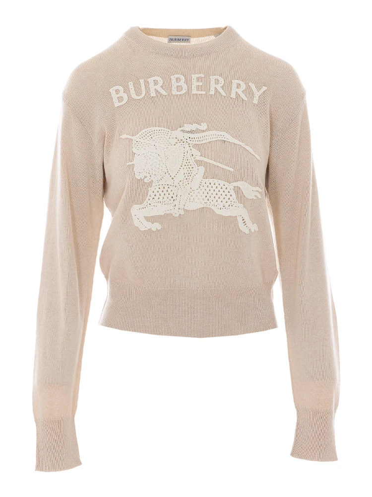 كنزات بربري بيج